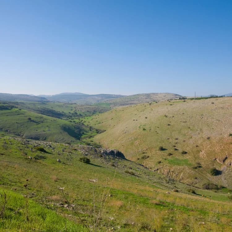 גבעות הגליל