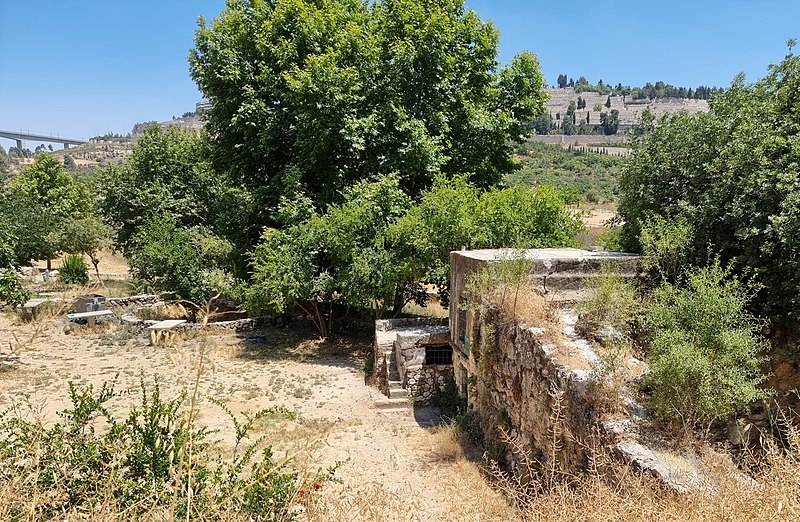 טעימה מהטבע