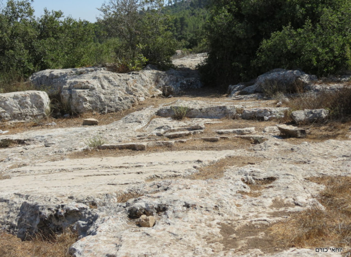 פסגת רכס שורק